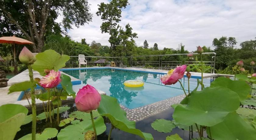 Ban Rai Tin Thai Ngarm Eco Lodge Mae Rim Zewnętrze zdjęcie