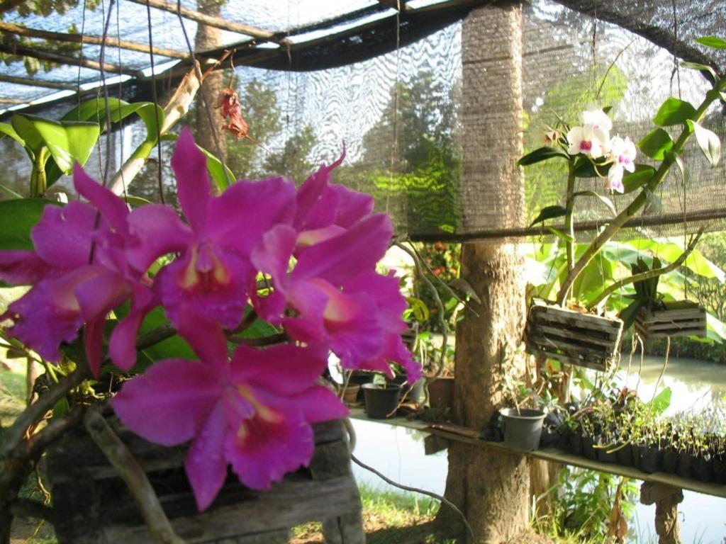 Ban Rai Tin Thai Ngarm Eco Lodge Mae Rim Zewnętrze zdjęcie